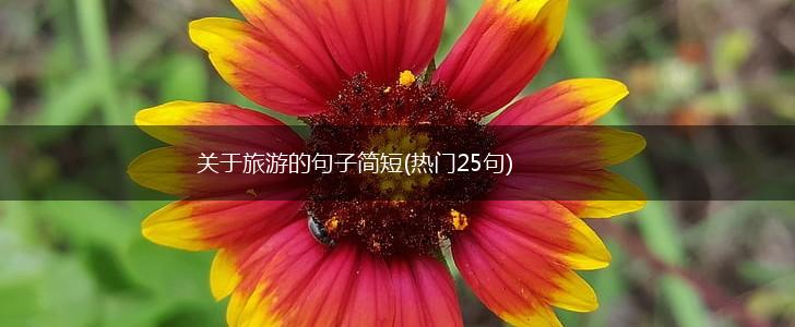关于旅游的句子简短(热门25句),第1张