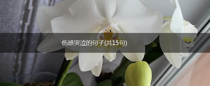 伤感哭泣的句子(共15句),第1张