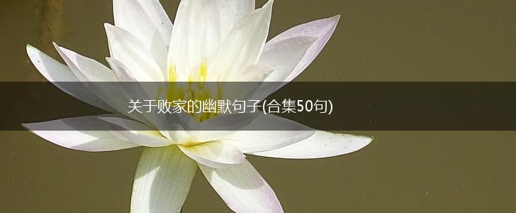 关于败家的幽默句子(合集50句),第1张