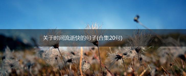 关于时间流逝快的句子(合集20句),第1张