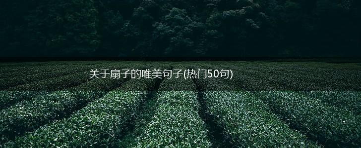 关于扇子的唯美句子(热门50句),第1张