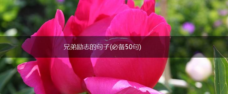 兄弟励志的句子(必备50句),第1张