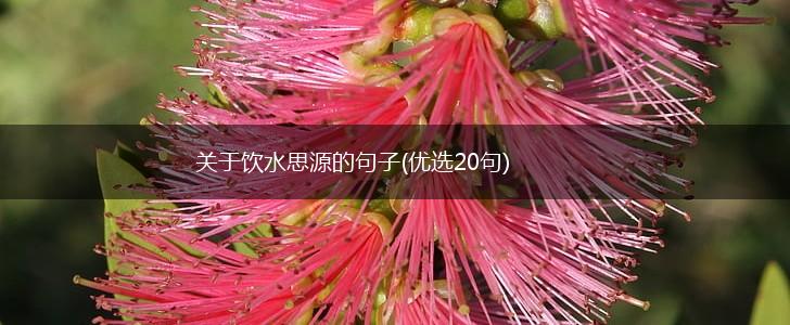 关于饮水思源的句子(优选20句),第1张