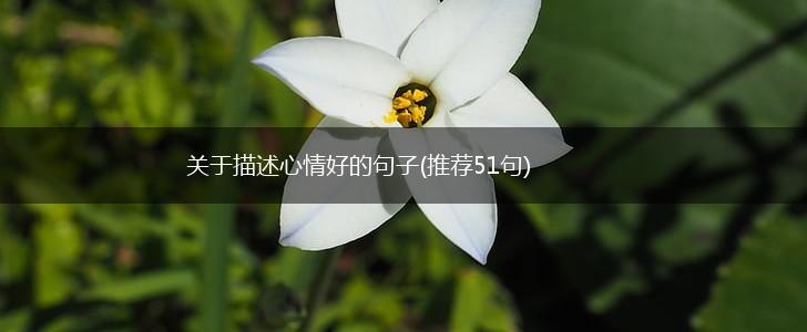 关于描述心情好的句子(推荐51句),第1张