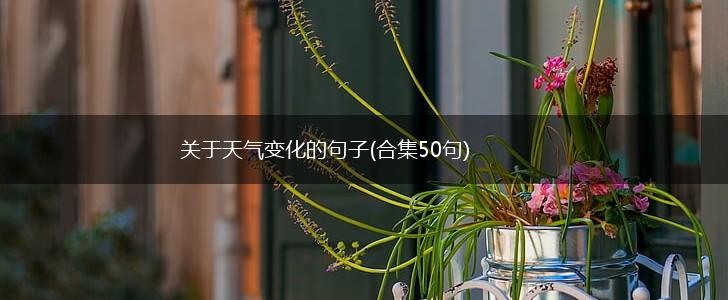 关于天气变化的句子(合集50句),第1张