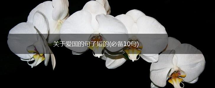 关于爱国的句子短的(必备10句),第1张
