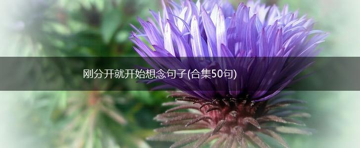 刚分开就开始想念句子(合集50句),第1张