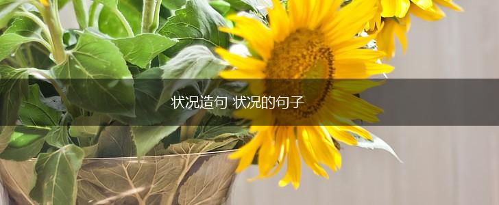 状况造句 状况的句子,第1张