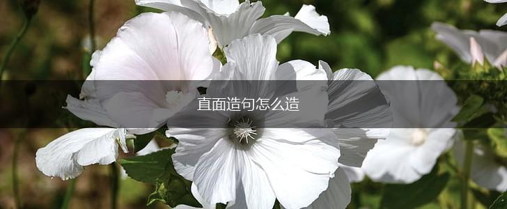 直面造句怎么造,第1张