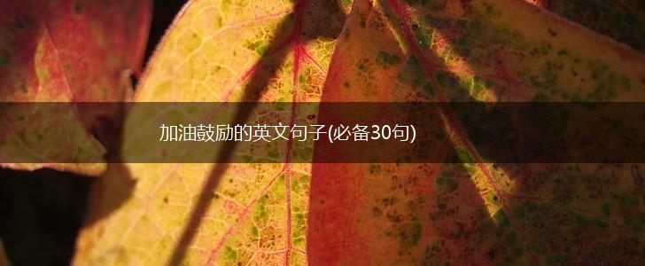加油鼓励的英文句子(必备30句),第1张