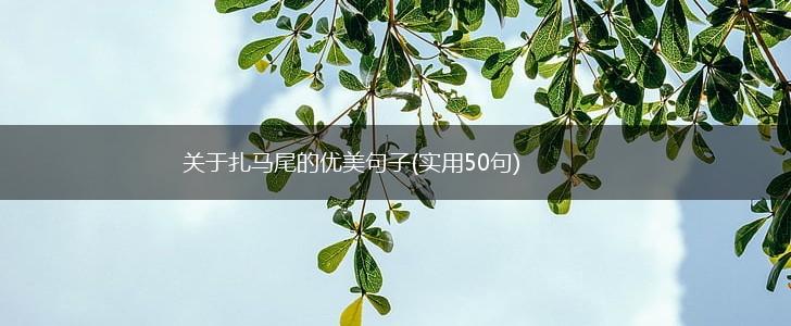 关于扎马尾的优美句子(实用50句),第1张