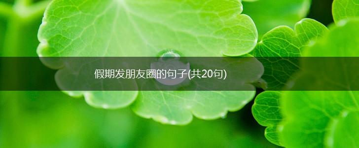 假期发朋友圈的句子(共20句),第1张