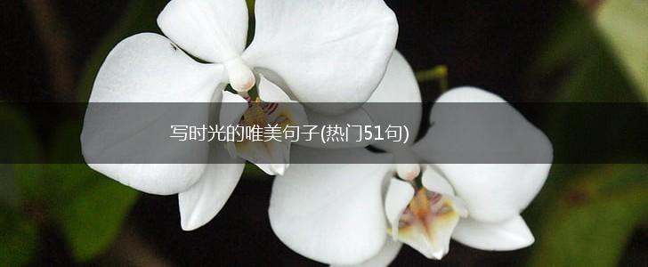写时光的唯美句子(热门51句),第1张
