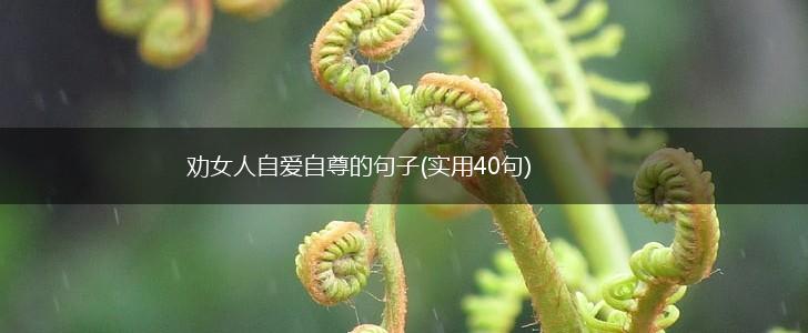 劝女人自爱自尊的句子(实用40句),第1张