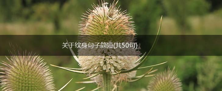 关于纹身句子简短(共50句),第1张