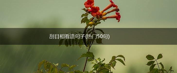 刮目相看造句子(热门50句),第1张