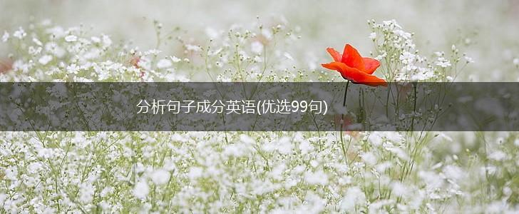 分析句子成分英语(优选99句),第1张