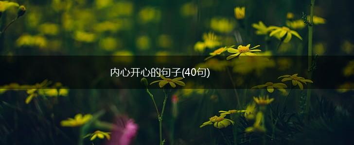 内心开心的句子(40句),第1张
