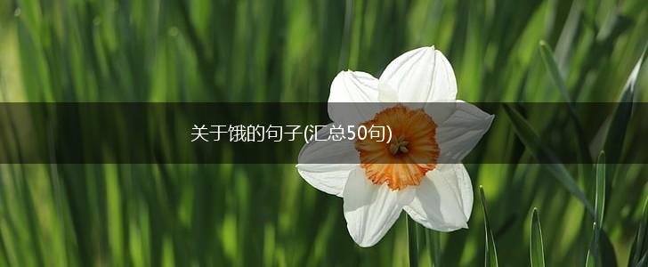 关于饿的句子(汇总50句),第1张