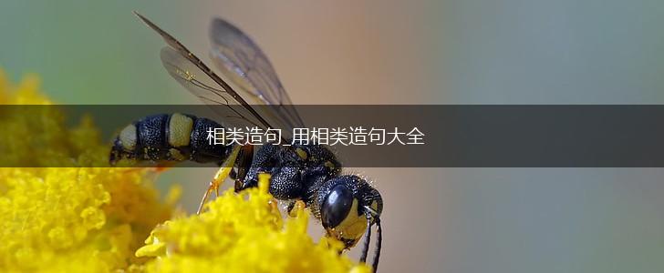 相类造句_用相类造句大全,第1张