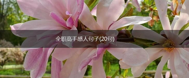 全职高手感人句子(20句),第1张