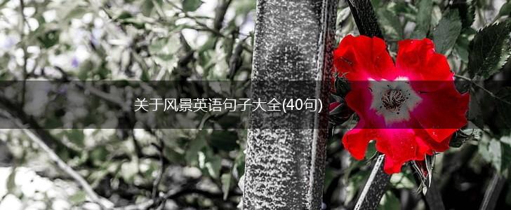 关于风景英语句子大全(40句),第1张