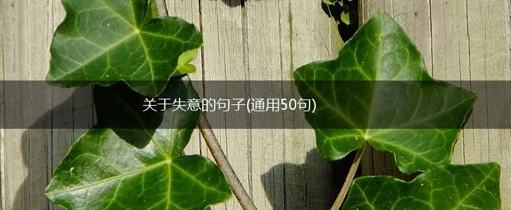 关于失意的句子(通用50句),第1张