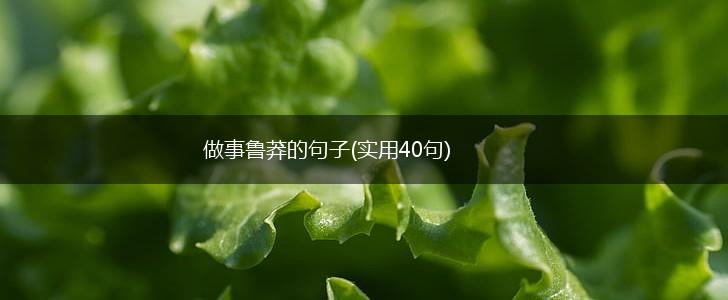 做事鲁莽的句子(实用40句),第1张