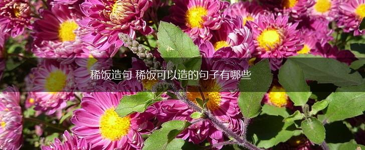 稀饭造句 稀饭可以造的句子有哪些,第1张