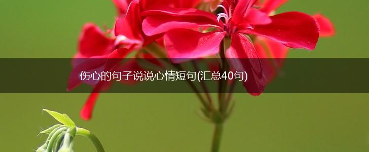 伤心的句子说说心情短句(汇总40句),第1张