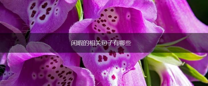 闲暇的相关句子有哪些,第1张