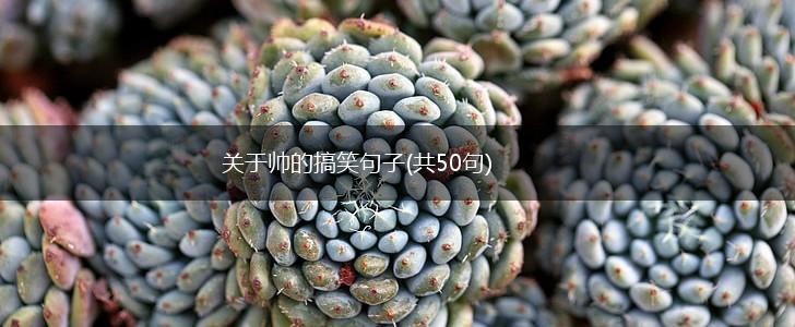关于帅的搞笑句子(共50句),第1张