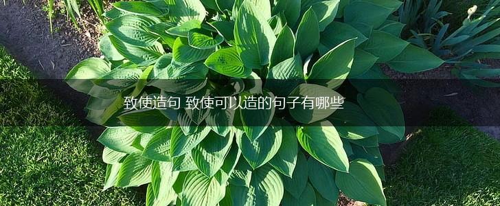 致使造句 致使可以造的句子有哪些,第1张