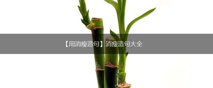 【用消瘦造句】消瘦造句大全,第1张