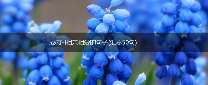 兄妹间相亲相爱的句子(汇总50句),第1张