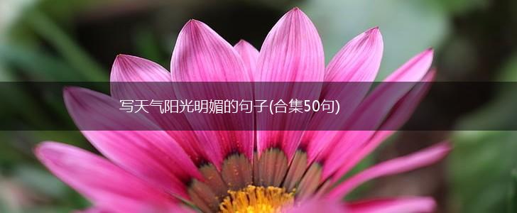 写天气阳光明媚的句子(合集50句),第1张