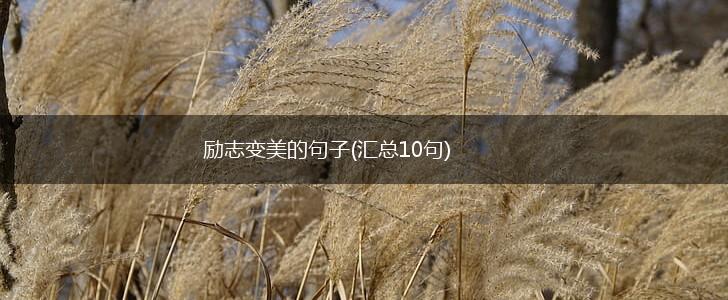励志变美的句子(汇总10句),第1张
