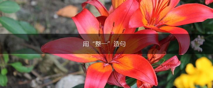 用“整一”造句,第1张