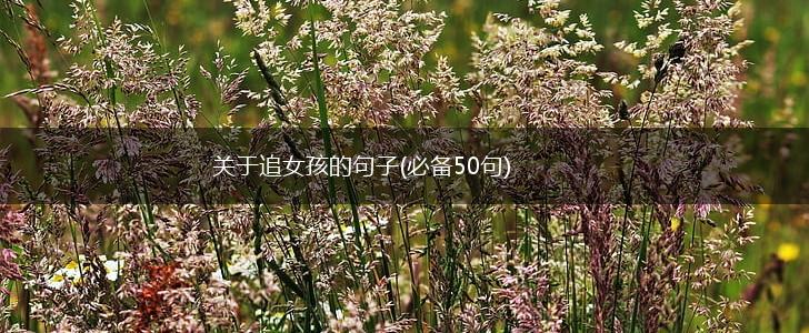 关于追女孩的句子(必备50句),第1张