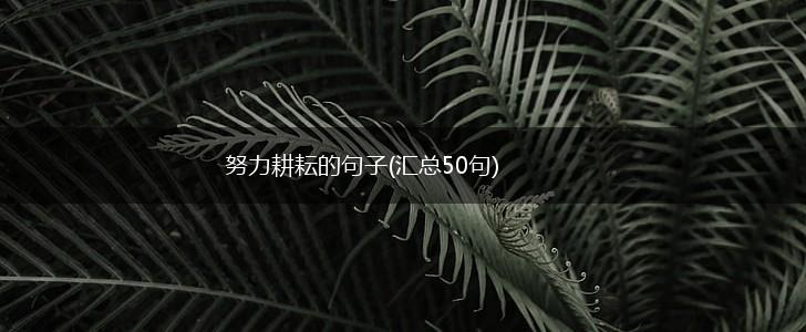 努力耕耘的句子(汇总50句),第1张