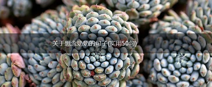关于想念奶奶的句子(实用50句),第1张
