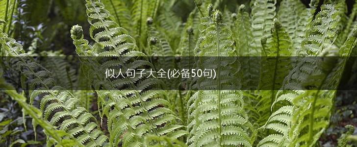 似人句子大全(必备50句),第1张