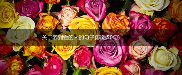 关于梦到爱的人的句子(精选50句),第1张