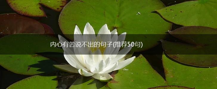 内心有苦说不出的句子(推荐50句),第1张