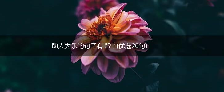 助人为乐的句子有哪些(优选20句),第1张