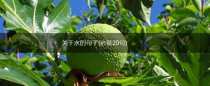 关于水的句子(必备20句),第1张