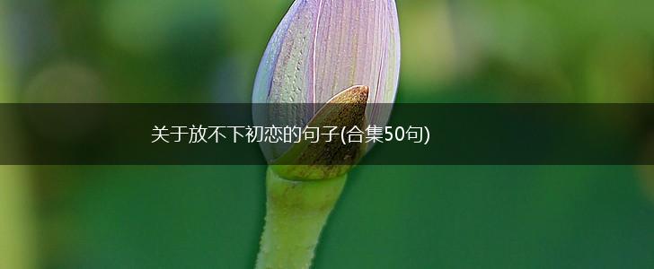 关于放不下初恋的句子(合集50句),第1张