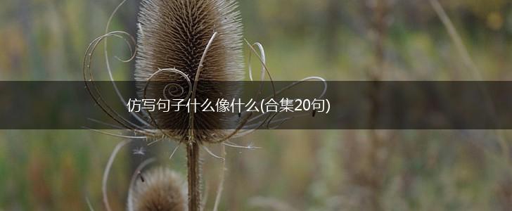 仿写句子什么像什么(合集20句),第1张