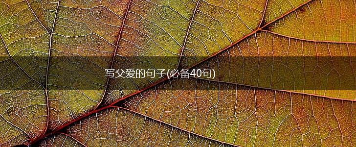 写父爱的句子(必备40句),第1张