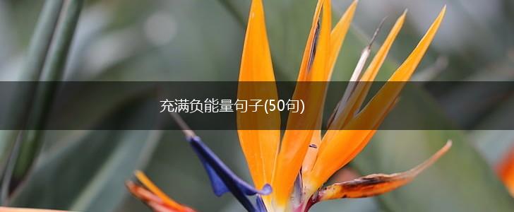 充满负能量句子(50句),第1张